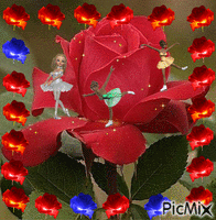 fantasia de rosas GIF animé