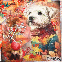 Autumn dog - Gratis geanimeerde GIF