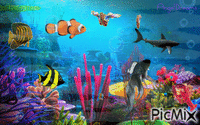Fish - GIF animado gratis