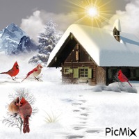 Winter Magic - PNG gratuit