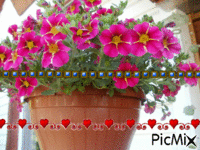 kostki serca i kwiaty - 免费动画 GIF