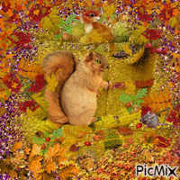A FALL SCENE SQUIRRELS MICEMAKING A MOUSEHOLD. LOTS OF BERRIES AND NUTS, LEAVES ON THE GROUND AND LEAVES FALLING. animasyonlu GIF