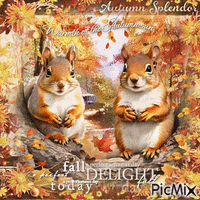 Autumn animals squirrel