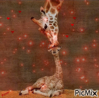 maman et bebe girafe - Безплатен анимиран GIF