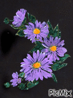 kvety GIF animasi