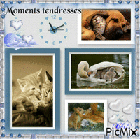 Moments tendresses 动画 GIF