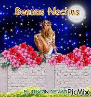 BUENAS NOCHES Animated GIF