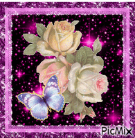 Roses in different colors. GIF animata