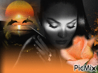 orange - Zdarma animovaný GIF