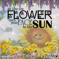 Sunflower animovaný GIF