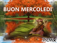 BUON MERCOLEDI' - GIF animado grátis