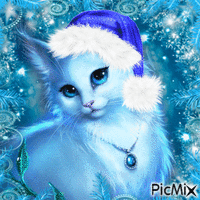 Blue Christmas Cat - GIF animado gratis