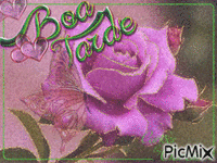 Rosa rosa - Gratis geanimeerde GIF