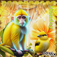 Montag, gelbe, süße Tiere GIF animé