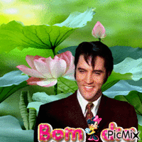 Elvis Presley GIF animado