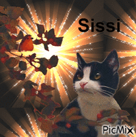 Sissi - GIF animate gratis