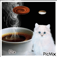 Café cappuccino chocolat  chat animovaný GIF