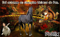 Le champion Univers de Pan. GIF animasi