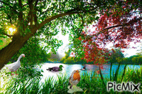 Le lac magique - Безплатен анимиран GIF