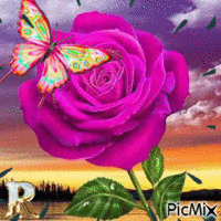 mágica rosa - Ingyenes animált GIF