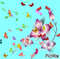 borboletas - GIF animasi gratis