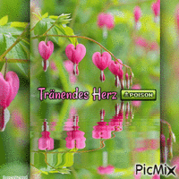 Giftige Blume--Tränendes Herz - GIF animé gratuit