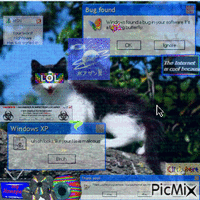 webcore wild kitty animovaný GIF