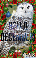 HELLO DECEMBER 1 - Free animated GIF