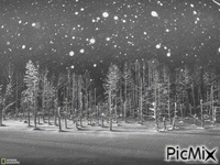 SNOW - Ilmainen animoitu GIF