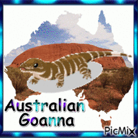 Australian Goanna animerad GIF
