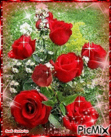 Rosas Vermelhas - Ingyenes animált GIF