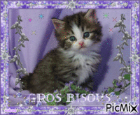 Gros bisous 动画 GIF