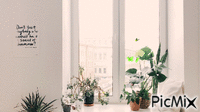 пластиковые окна - 免费动画 GIF