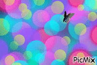 fly - GIF animado gratis