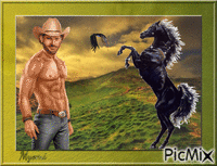 cowboy GIF animata