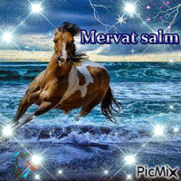 MERVAT.SALM - Δωρεάν κινούμενο GIF