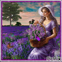 In the lavender field - Gratis animeret GIF