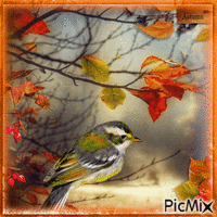 Autumn bird - GIF animado grátis