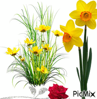 Plantas e flores - GIF animado gratis
