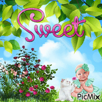 Sweet - GIF animado grátis