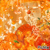 orange - Zdarma animovaný GIF