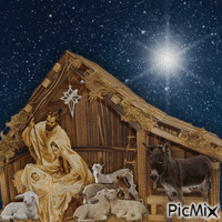 Joyeux Noël - Nativité