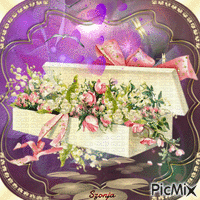 my flower box - GIF animé gratuit