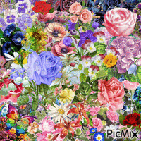 floral madness - GIF animé gratuit