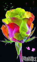 Rosas * - Gratis geanimeerde GIF