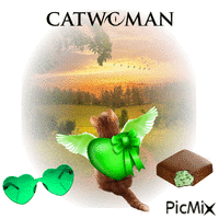 Catwoman >^..^< GIF animasi