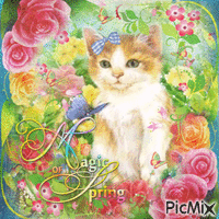 Spring cat - Бесплатный анимированный гифка