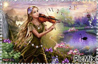 violinista - GIF animé gratuit