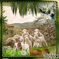 Frühlingstier ( Schafe ) - Gratis animerad GIF