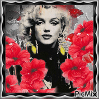 Marilyn Monroe et coquelicots animasyonlu GIF